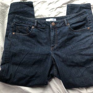 Ann Taylor Loft Curvy Skinny Ankle Jeans 10/30 Petite